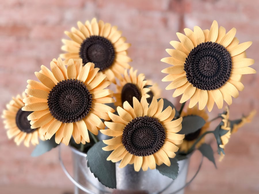 Shadowbox Theimaginery