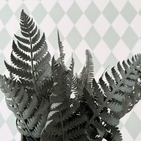 helecho-papel-theimaginery