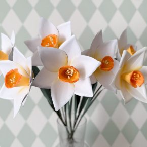 narciso-papel-theimaginery